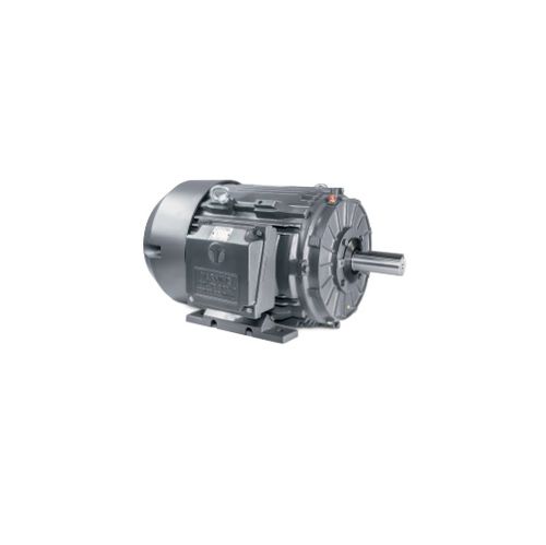Motor asíncrono - GR3-CI-TF Series - Techtop - trifásico / de hierro fundido / IP55
