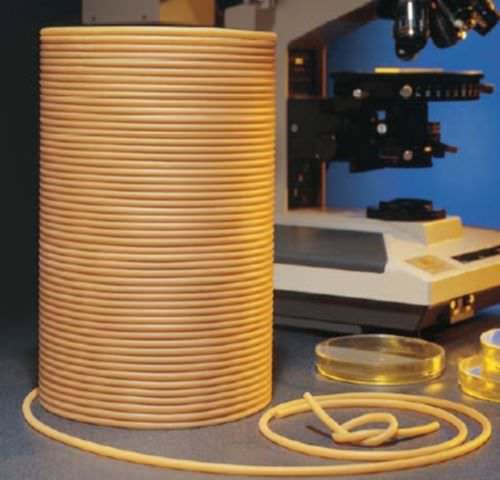 Manguera para productos alimentarios - Versilon™ GA  - Saint-Gobain Performance Plastics - Process System - de caucho natural / para transferencia / de limpieza