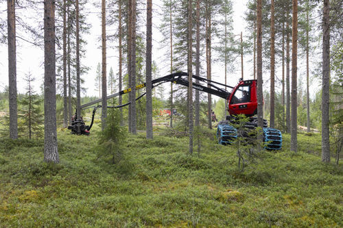 Cosechadora forestal con neumáticos - 901XC-7 - KOMATSU Forest