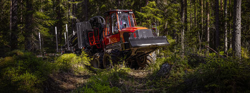 Autocargador forestal - 875-2 - KOMATSU Forest