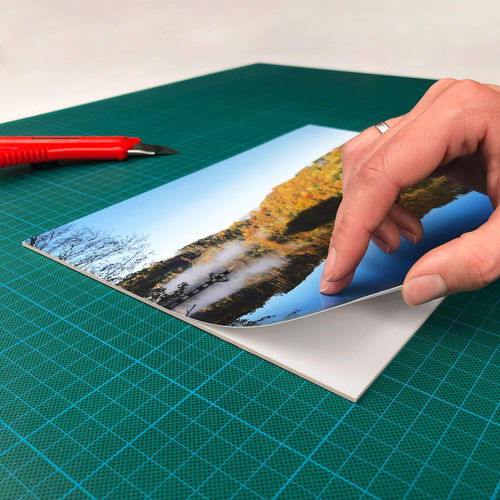 Carton autoadhesiva - KROMA® Mountingboard - KOHLSCHEIN GmbH & Co. KG - para uso publicitario / ligera / imprimible