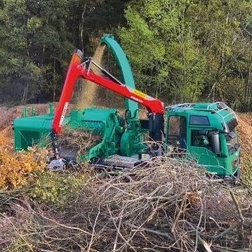 Trituradora de ramas móvil - JENZ GmbH Maschinen- und Fahrzeugbau