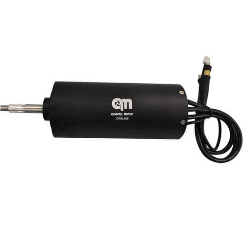 Motor resistente al agua - D70L165-WP - Dongguan Tengfei Power Technology Co., Ltd. - brushless / DC / 160 V