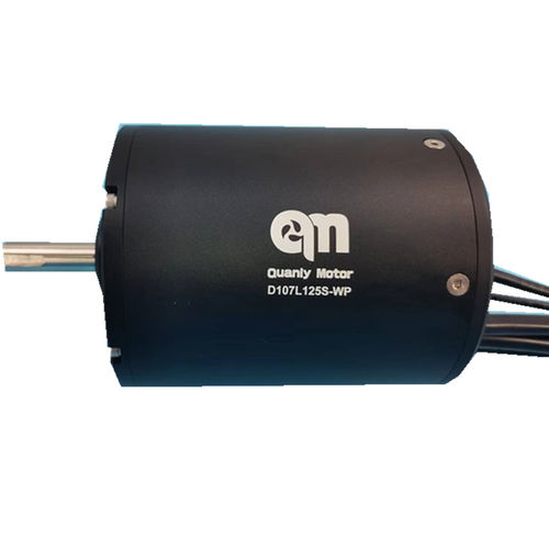 Motor BLDC - D107L125-WP - Dongguan Tengfei Power Technology Co., Ltd. - DC / 20 V / 80 V