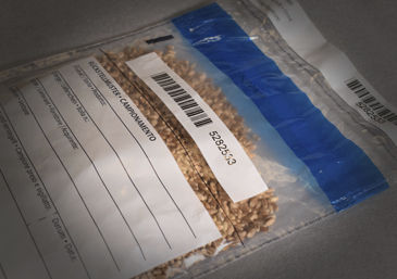Bolsita para muestras - 10000222 - orfix International GmbH - de PE / para el sector alimentario / resistente a manipulaciones