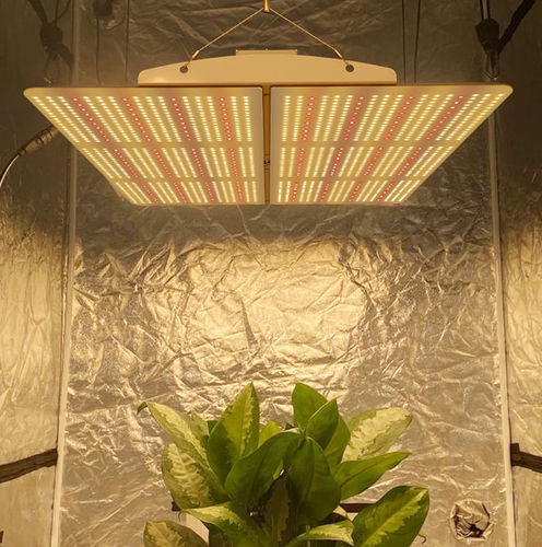 Iluminación de techo - PG02  - Hishine Group Limited - LED / para invernadero