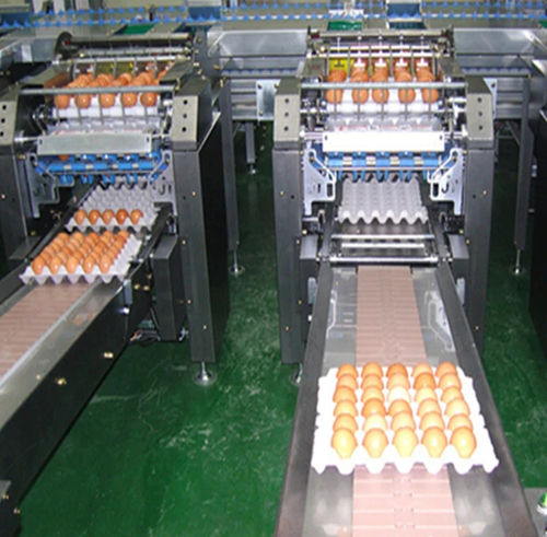 Lavadora agroalimentaria para huevos - Shanghai Genyond Technology Co Ltd - automática / de banda / de pulverización