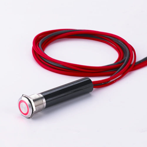 Interruptor antivandalismo - L19Y - YUEQING DANPU ELECTRIC ( LANGIR ) CO.,LTD. - táctil / unipolar / robusto