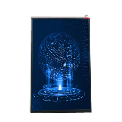 Módulo de visualización 10.1" - HG101WX022 - Shenzhen Hongguang Display Co., Ltd - TFT LCD / IPS / de color
