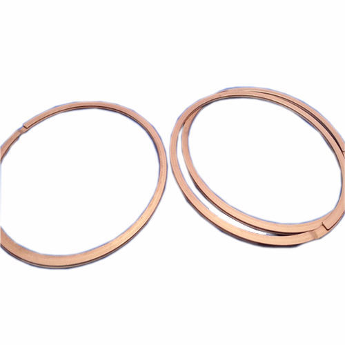Anillo de estanquidad para cojinete - FK5 ASKD - Zhejiang Lisheng Spring Co., Ltd. - de hierro fundido / de plástico / de acero