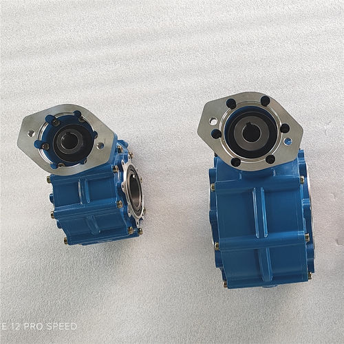 Reductor de tornillo sin fin - CYWF90-H - Chenyue (Jiangsu) Technology Co., Ltd. - angular / con eje hueco / con doble eje de salida