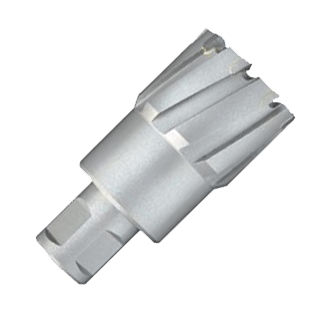 Fresa hueca de carburo - 50601350 series - Suqian ARES Tools Co., Ltd. - Weldon