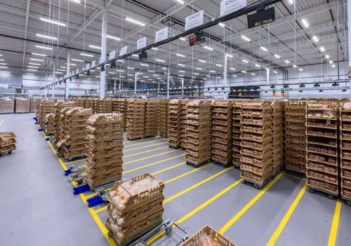 Máquina de preparación de pedidos put-to-light - Pcdata Logistics Automation - para la industria tabacalera / para la industria cosmética / para la intralogística