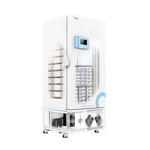 Congelador vertical - BDW series  - BEING TECHNOLOGY - de laboratorio / de baja temperatura / de acero inoxidable