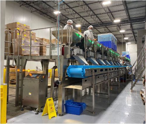 Sistema de mezcla - PACKPLUS-MX6 - SEVVALUSA Nut Processing and Packaging Solutions