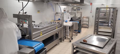 Freidora industrial continua - jose miguel sardinero blanco ( jsbmachinery) - de hortalizas / para aperitivos / de carne