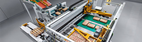 Paletizador con con máquina apiladora - paletpac® - BEUMER Group GmbH & Co.KG - para granulados / de manipulación / automático