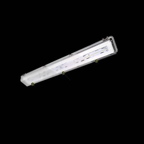 LED UV - Grupa Wolff - de iluminación / LED / para la industria