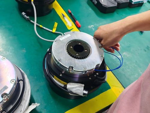 Motor par brushless - FMK - Suzhou Honpine Precision Industry Co., Ltd. - AC / 220V / con codificador y controlador integrados