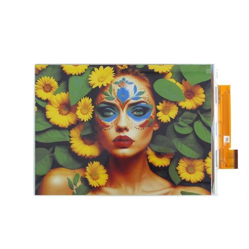 Visualizador E-Paper - Ansenke Electronics CO.,LTD - de color / de alta definición / 13.3"