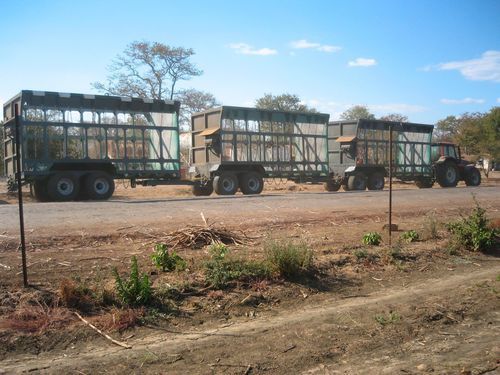 Semirremolque volquete - Deves - para madera / de 4 ejes / agrícola