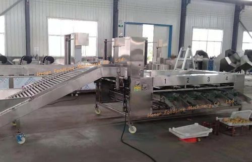 Clasificador para la industria agroalimentaria - Henan Hongtu Machinery Manufacturing Co., Ltd. - para aplicaciones agrícolas / industrial / óptico