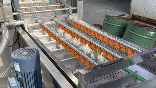 Lavadora de verduras - Henan Hongtu Machinery Manufacturing Co., Ltd. - para fruta / de espinacas / de fresas