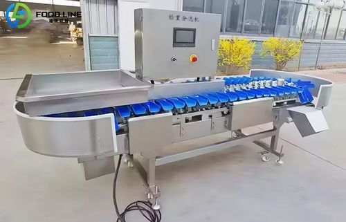 Calibradora para selección - FX100 - Henan Hongtu Machinery Manufacturing Co., Ltd. - para frutas y hortalizas / para verdura / para fruta