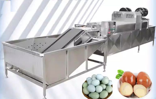Lavadora agroalimentaria para huevos - Henan Hongtu Machinery Manufacturing Co., Ltd. - automática / de cepillo / de enjuague