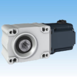 Motorreductor trifásico - DCBL  - Tsubakimoto Chain - hipoide / con eje hueco / 100 W...500 W