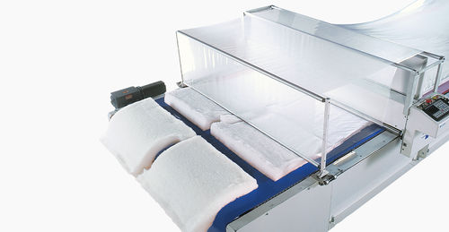 Transportador por vacío - EasiHold™ - Eastman Machine Company