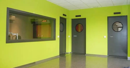 Puerta abatible - RS8 - 43 dB - Acústica Integral - Soundproofing - de metal / para interior / para sala de control