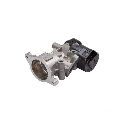 Válvula RGE - EGR - Delphi Power Train - de pistón / con actuador eléctrico / de control de caudal