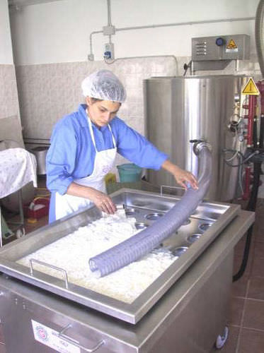 Línea de producción de queso - MALGAMATIC - Magnabosco