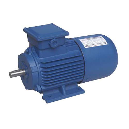 Motor asíncrono - HANGZHOU CHINABASE MACHINERY CO., LTD. - DC / 100 V / de jaula de ardilla