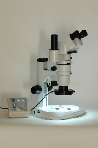 Iluminador LED - SATURN - MICROS Produktions- & Handels GmbH. - blanco / compacto / para microscopio