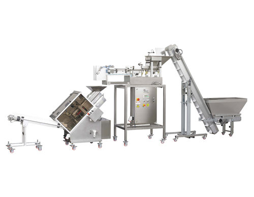 Ensacadora vertical - Mod. VTR-1+CA - Gasparin S.r.l. Brevetti - inclinada / flow-pack / automática