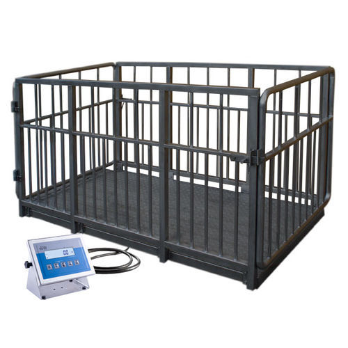 Balanza para ganado - H315 4I series - RADWAG - de plataforma / kilogramo / con indicador separado