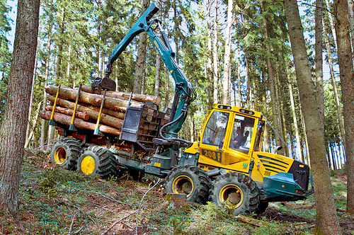 Autocargador forestal - HSM 208F 6WD 12t - HSM - Hohenloher Spezial-Maschinenbau GmbH & Co. K