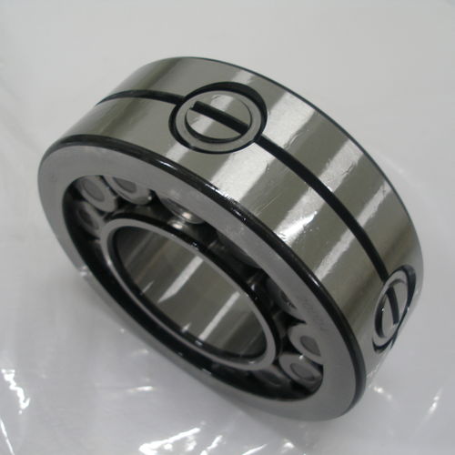 Rodamiento de rodillos cilíndricos - SL 19 series - THB Bearings - de una sola hilera / de acero / con jaula