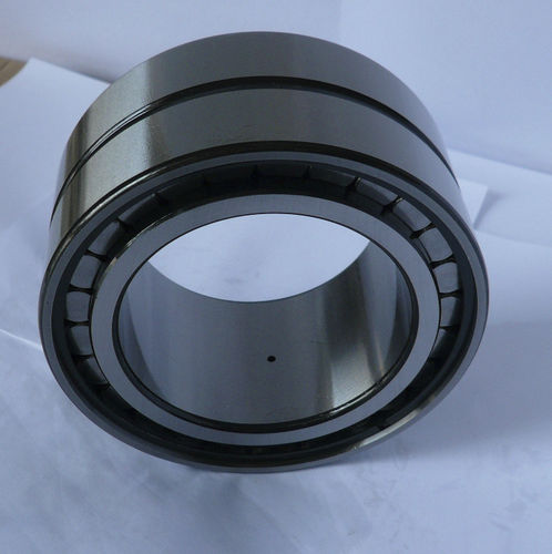 Rodamiento de rodillos cilíndricos - SL01 4848 - THB Bearings - de dos hileras / de acero / para rodillo