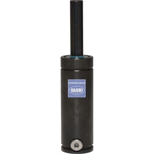 Muelle de gas de acero inoxidable - RG 250 - QUIRI - para aplicaciones automóviles / para uso industrial / compacto