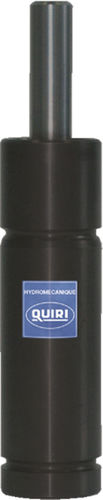 Muelle de gas de acero inoxidable - RG19  - QUIRI - para aplicaciones automóviles / para uso industrial / micro