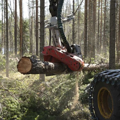 Cabeza procesadora - 5000V - Log Max