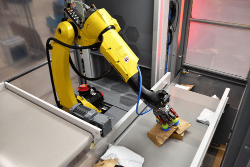 Robot para selección - AUTO INDUCT - VANDERLANDE - articulado / 6 ejes / de manipulación