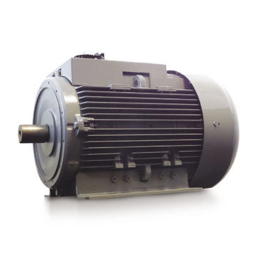 Alternador trifásico - Mecc Alte - 4 polos / para zona peligrosa
