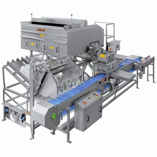 Pesadora continua - AVN 112-CW 12EV-K - Affeldt Maschinenbau GmbH - para la industria agroalimentaria / con alimentador vibrante / de acero inoxidable