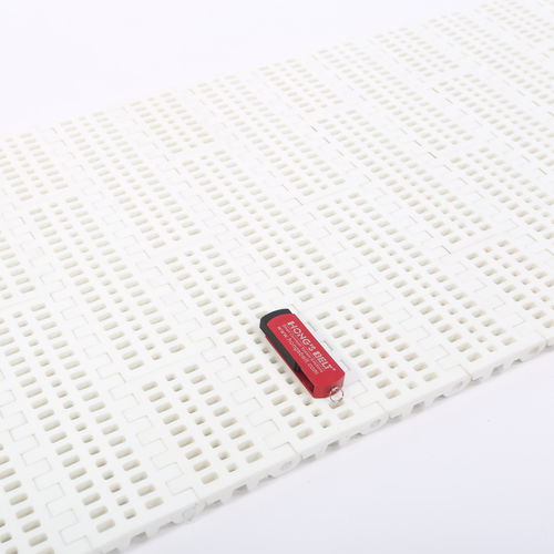 Cinta transportadora modular - HS-100B/50.8MM - Huanan Xinhai (Shenzhen) Technology Co.,Ltd. - de plástico / de proceso / para verdura