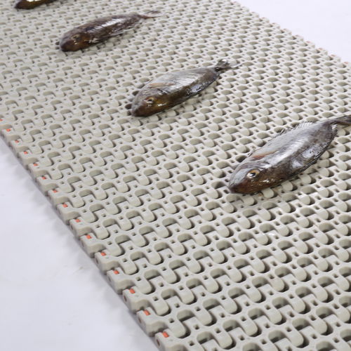 Cinta transportadora flexible - HS-501B, 25.4mm pitch - Huanan Xinhai (Shenzhen) Technology Co.,Ltd. - modular / de POM / de PP