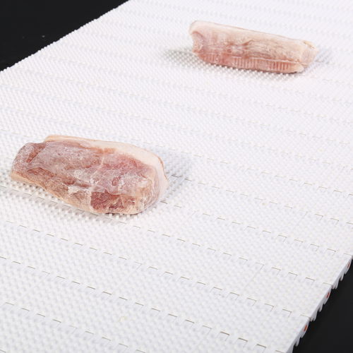 Cinta transportadora modular - HS-100AN/50.8mm picth - Huanan Xinhai (Shenzhen) Technology Co.,Ltd. - de POM / para la industria agroalimentaria / para carga pesada